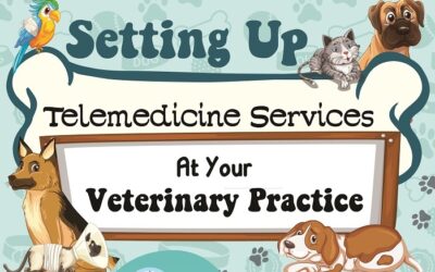 Setting Up Telemedicine Services At Your Veterinary Practice – Infographic