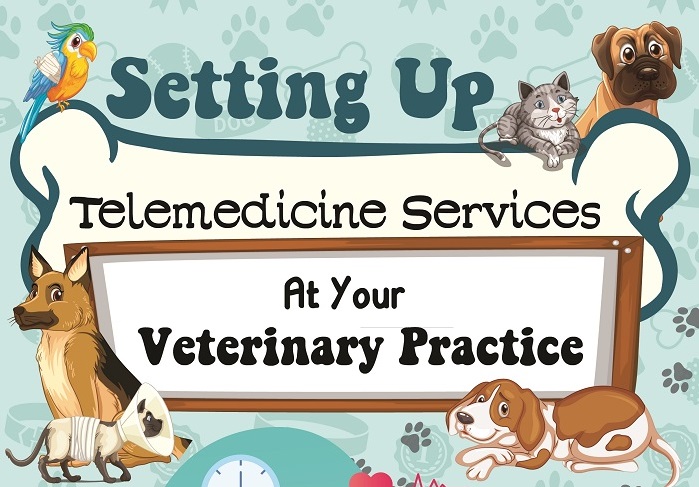 Setting-Up-Telemedicine-Services-At-Your-Veterinary-Practice-ft