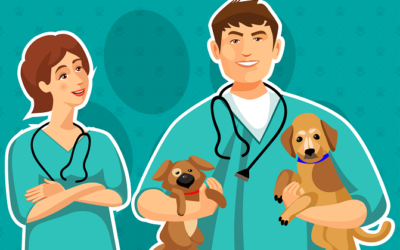 Why Your Veterinary Clinic Needs A Management Software | Infographic