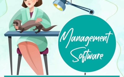 Choosing The Right Management Software For Your Clinic | Infographic