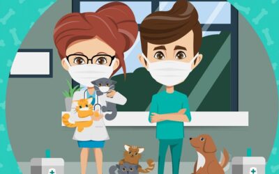 What Are Modern Veterinary Practice Doing To Manage COVID-19? | Infographic