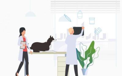 5 Veterinary Inventory Trends to Watch In 2020
