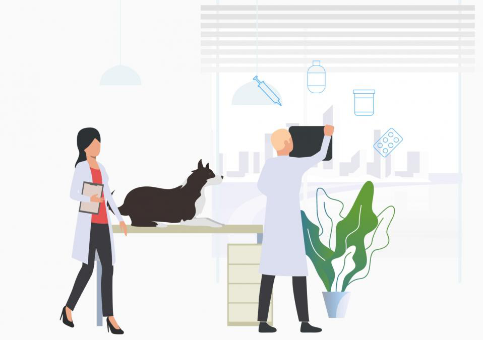 5 Veterinary Inventory Trends to Watch In 2020