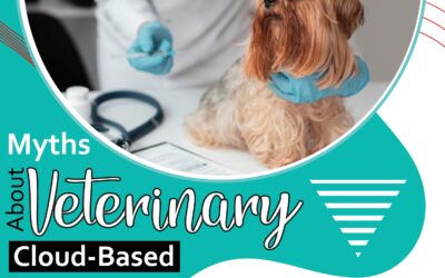 Myths About Veterinary Cloud-Based Software