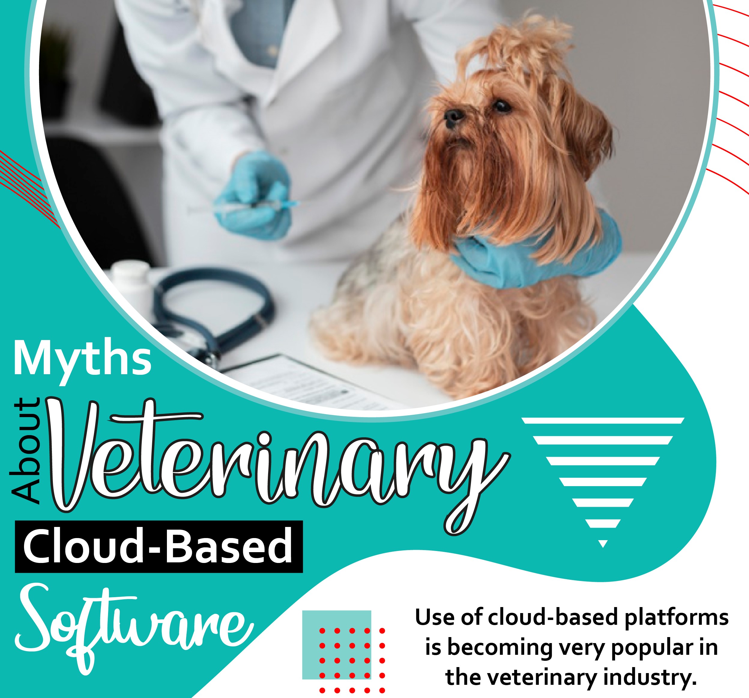 myths about cloud based veterinary software