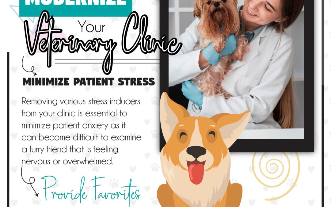 Ways To Modernize Your Veterinary Clinic