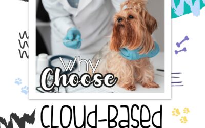 Why Choose Cloud Based Veterinary Software?