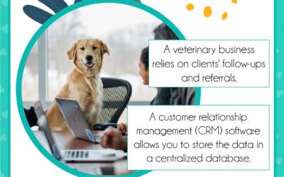 Client relationship management – why is it crucial for a veterinary business.