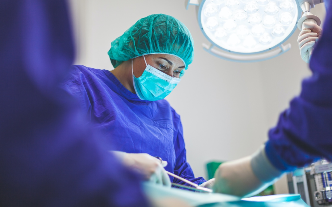 How Do Management Solutions Build Veterinarian-Client-Patient Bond