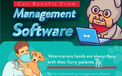 How Veterinary Practices Can Benefit From Management Software