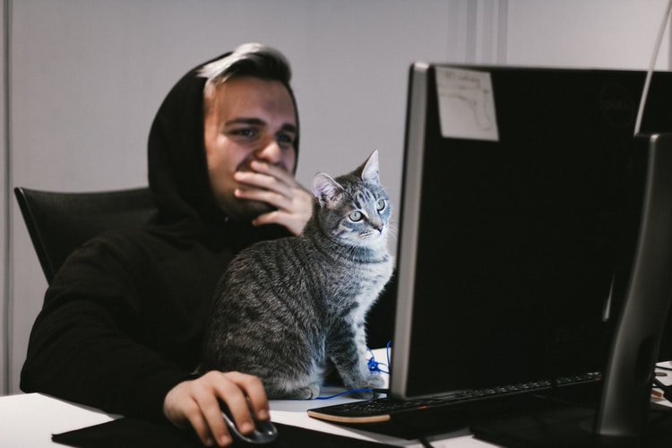 Man talking to a veterinarian