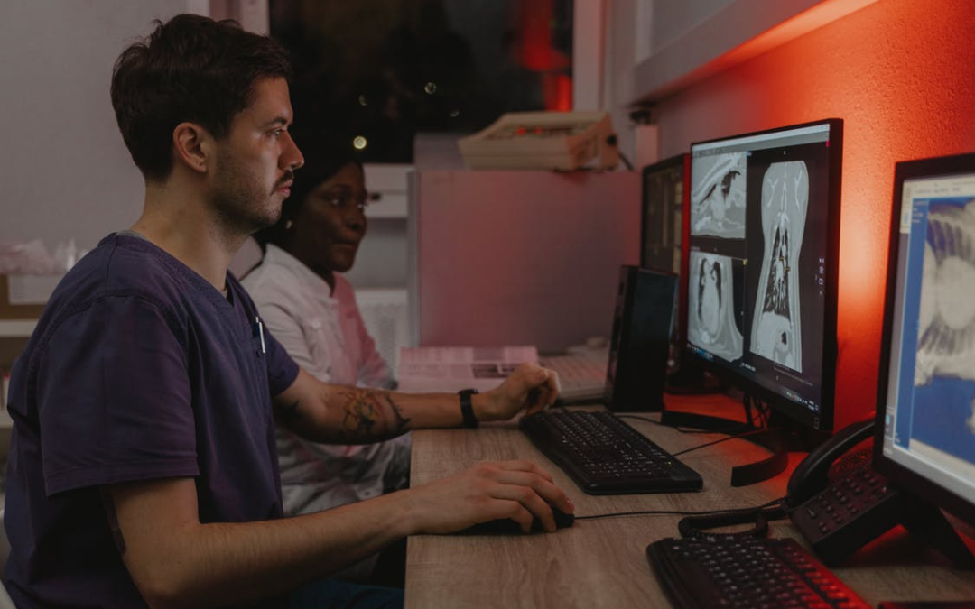 Tips And Tricks To Prepare Your Veterinary Practice For A Software Switch