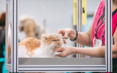 How Veterinary Practices can Minimize Inventory Waste