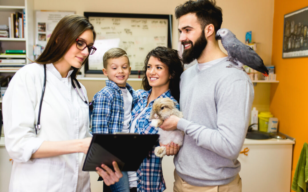 6 Things to Look for in Veterinary Software